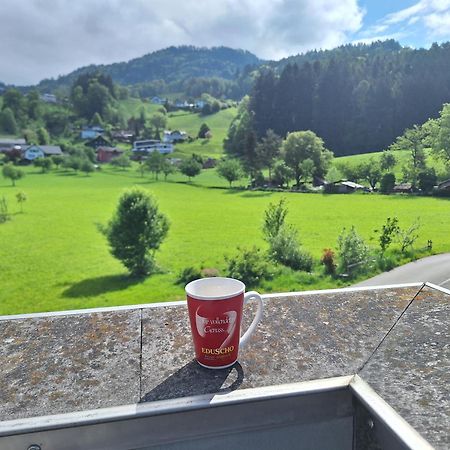 Apartment Rheintal Im Alpenvorland Batschuns ภายนอก รูปภาพ